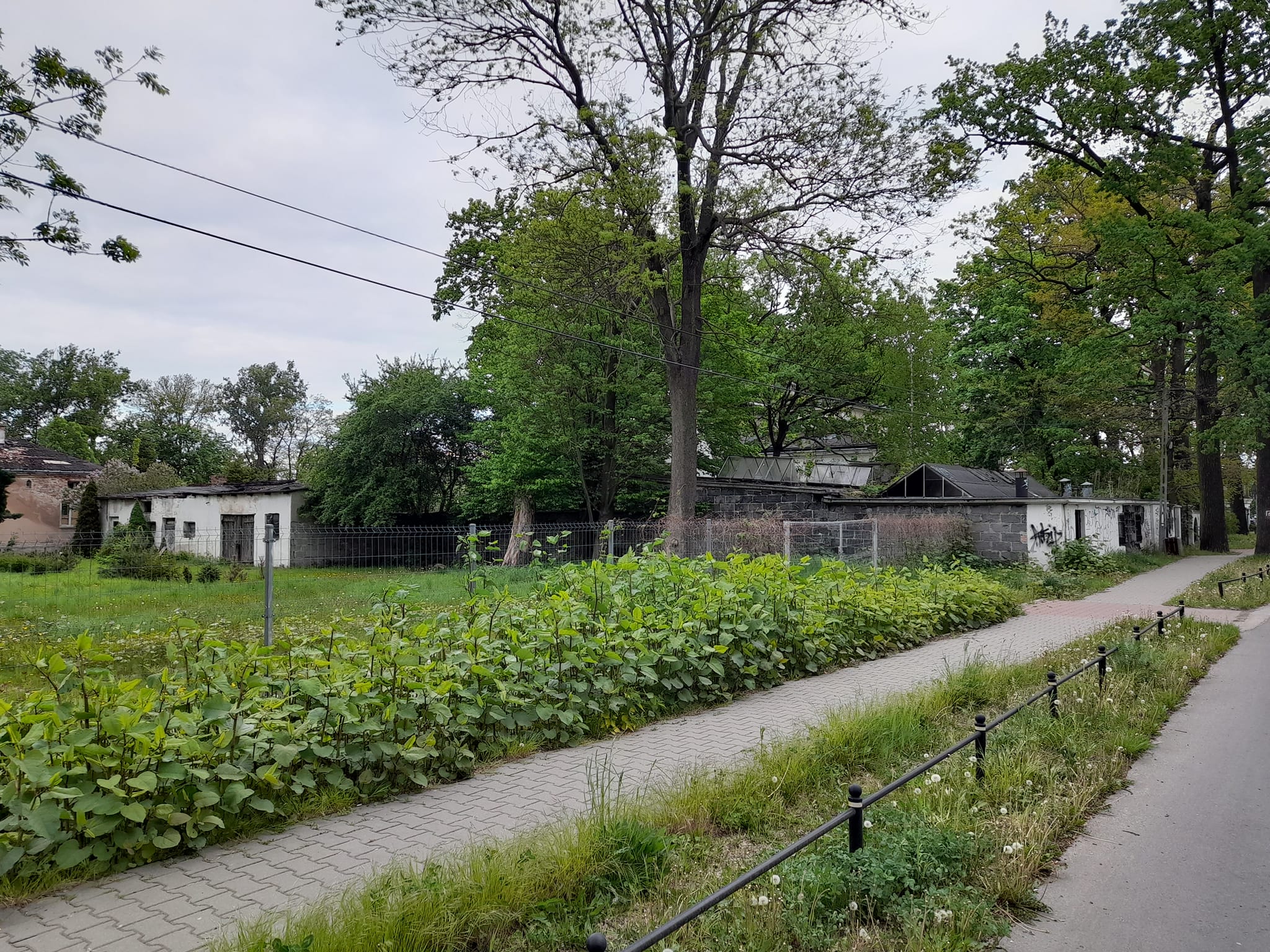 Ścieżka rowerowa ul. Idzikowskiego Mokotów