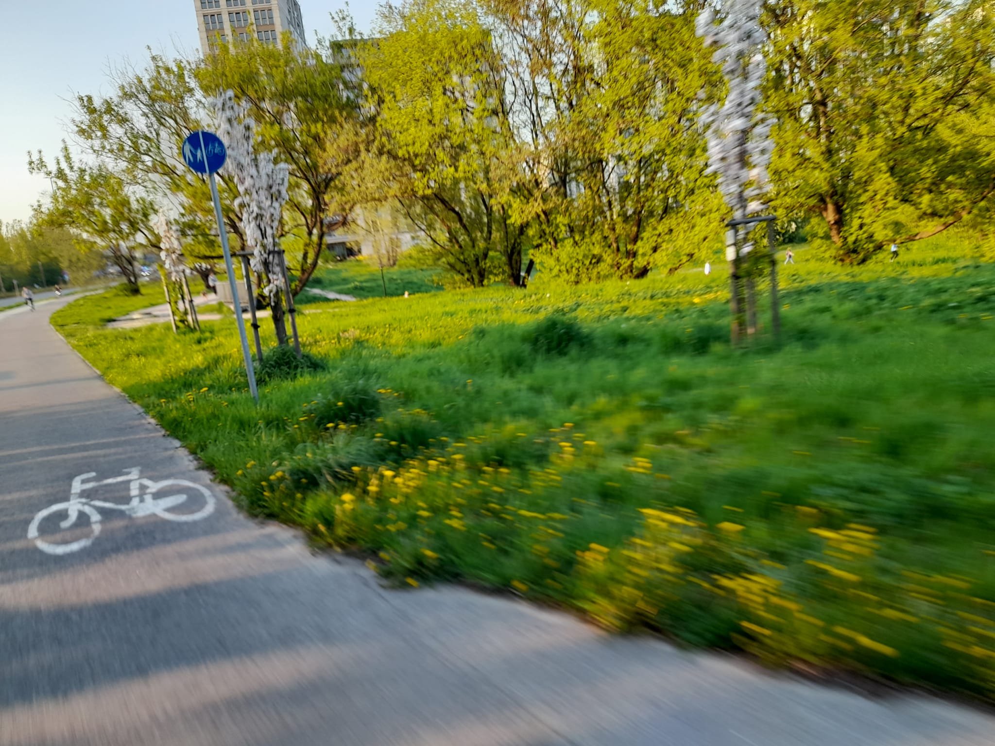 Ścieżka rowerowa ul. Idzikowskiego Mokotów
